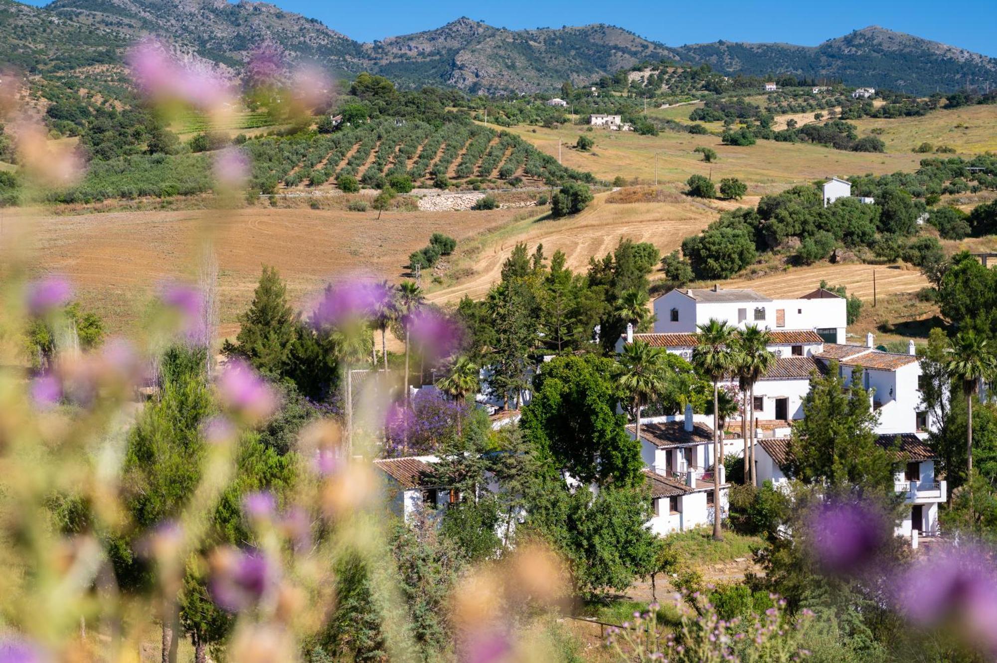 Malaga Sierra De Las Nieves By Real Spain Hotels Adults Recommended Casarabonela Exterior foto